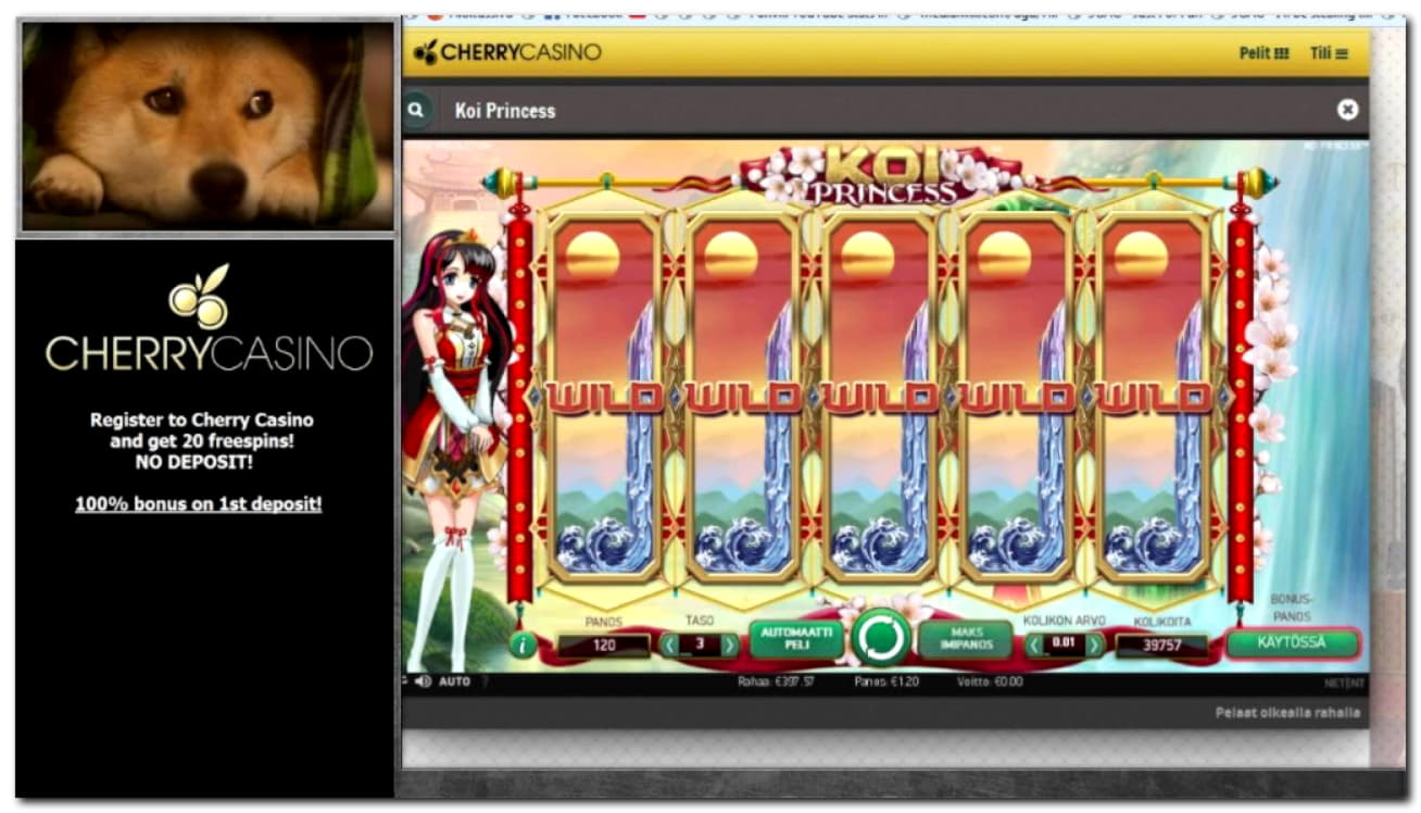 55 Free Spins at BoDubai Casino