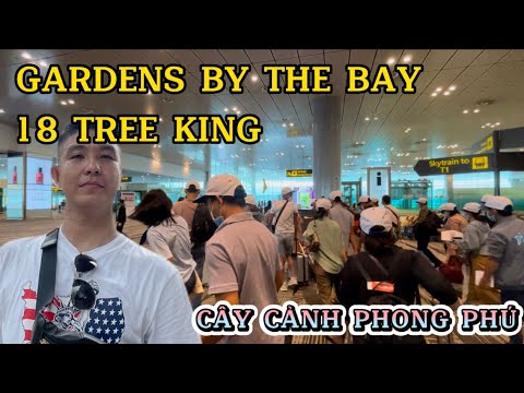 สิงคโปร์ | สนามบินนานาชาติชางงี , 18 Tree King ใน Gardens By the Bay, Quá Tuyệt Vời.